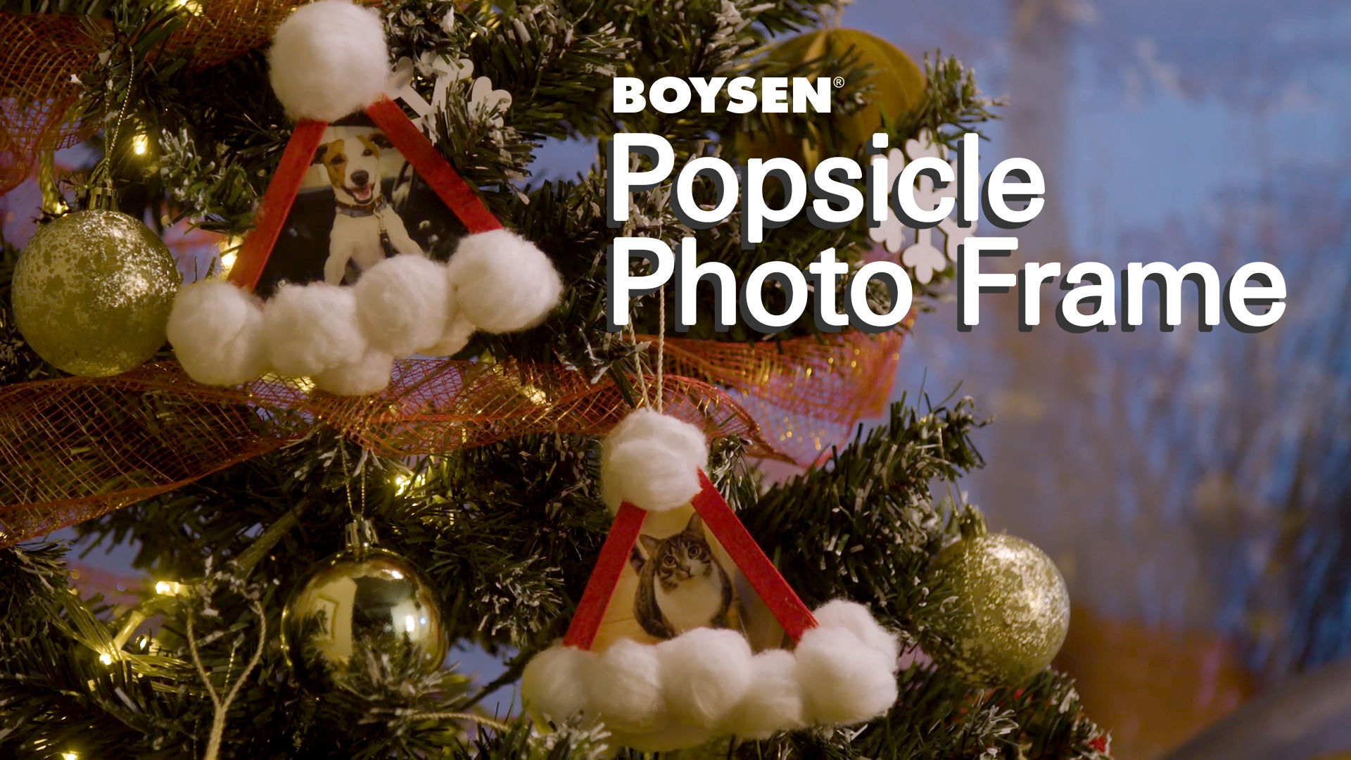 DIY WITH DAVE
POPSICLE PHOTO FRAME